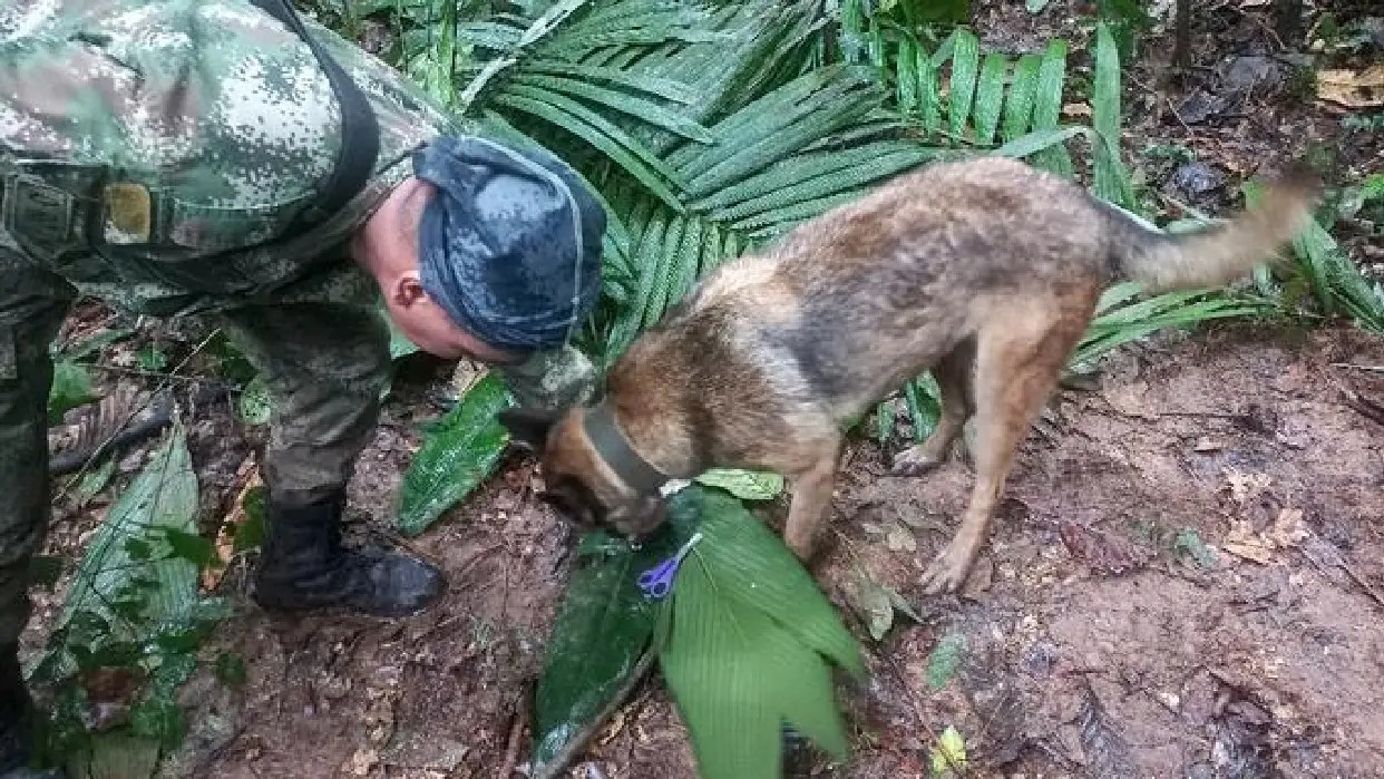 Soldados consiguieron campamentos improvisados y un biberón en la selva (Foto cortesía DW)