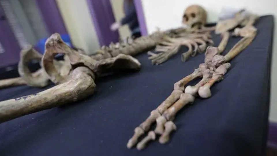 Desde las celdas del Pabellón 11 en Bárbula hasta las comisarías del Táchira, los rostros de estos hombres reflejan una patología que el Estado venezolano no ha sabido diagnosticar ni tratar a tiempo (Foto cortesía BBC)