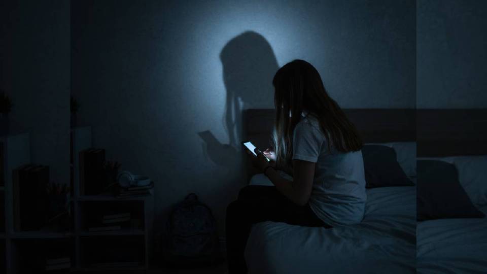 Detrás de una pantalla puede esconderse un depredador. La educación digital es la única barrera real entre la curiosidad de un adolescente y el abuso de un criminal (Imagen generada por inteligencia artificial)